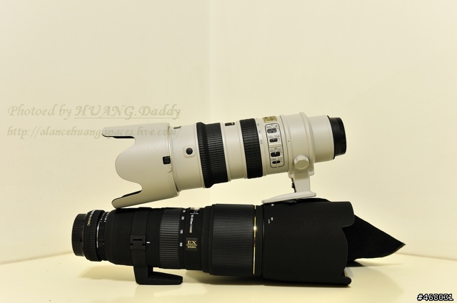 [第四篇開箱分享]~SIGMA : APO 100-300mm F4 EX IF DG HSM~長焦有其不同樂趣！