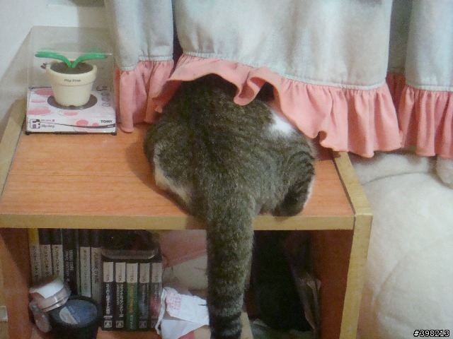 [分享]幸福的小孩-嚕尼