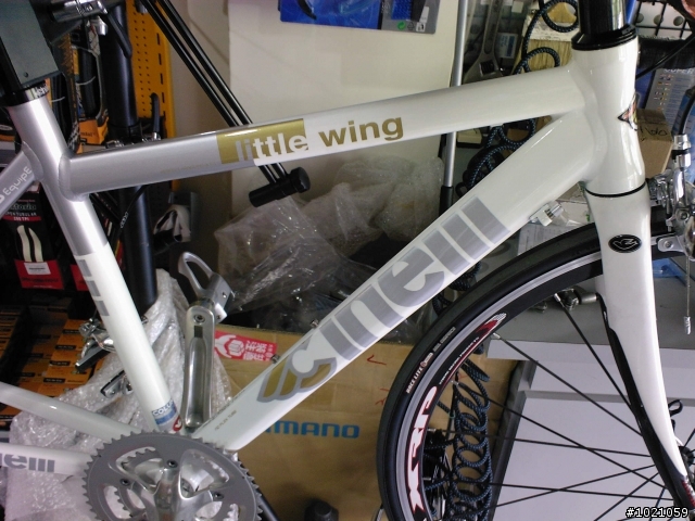 小弟報到~CINELLI little wing  入手!