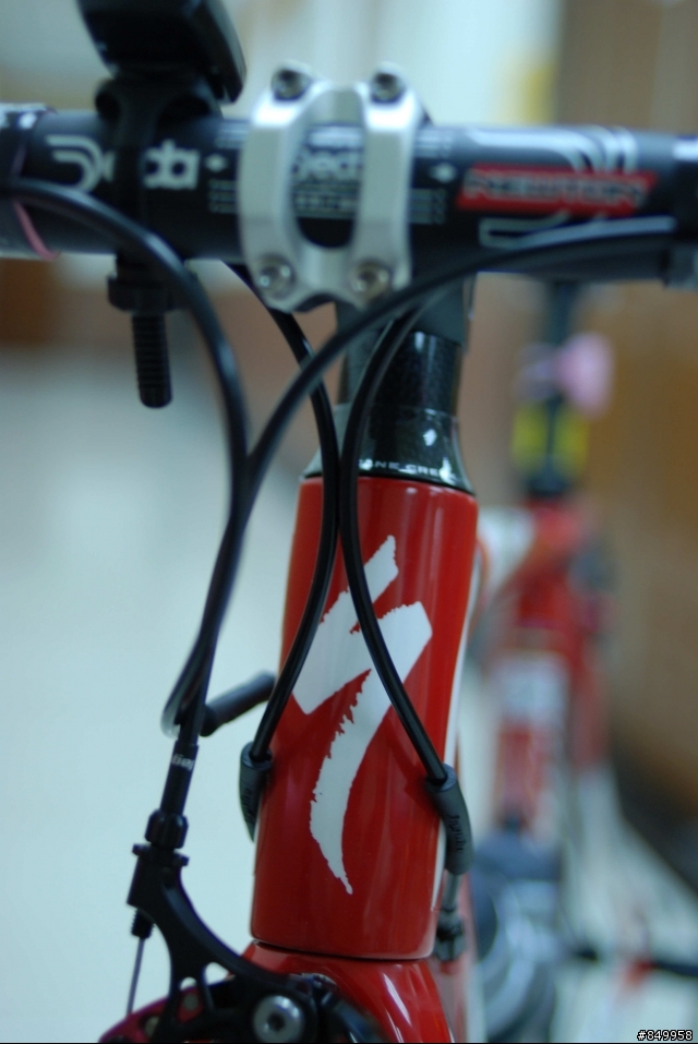 [分享]specialized tarmac pro  粉紅號(圖多)