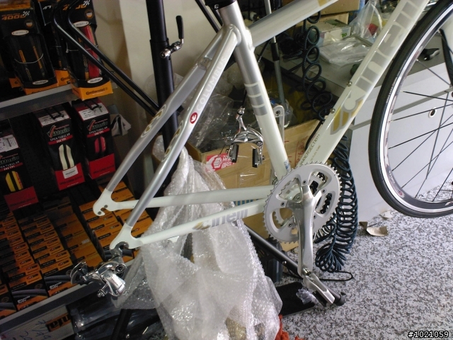 小弟報到~CINELLI little wing  入手!