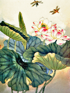 [240x320] 澐荷(一代)