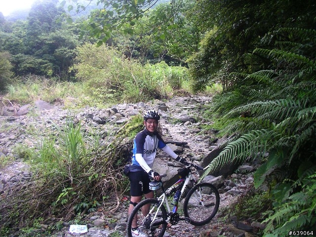[這就是登山車的路] 烏來西坑林道 與  桶后林道一日遊