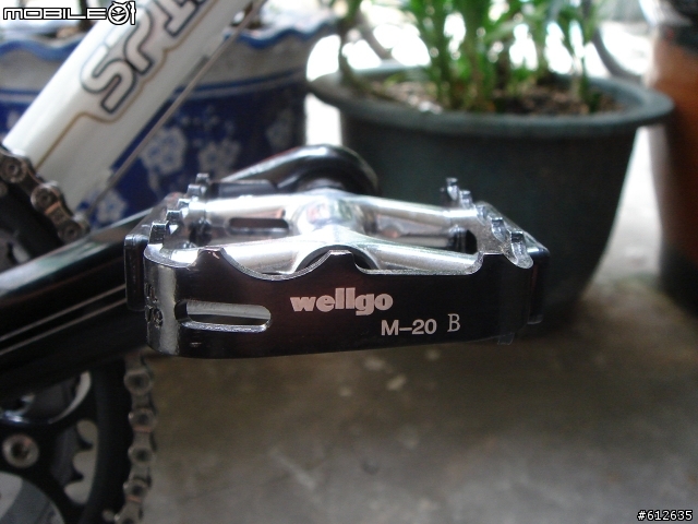 ［分享］SPINBURN CURVE小白S烏來初體驗!!!