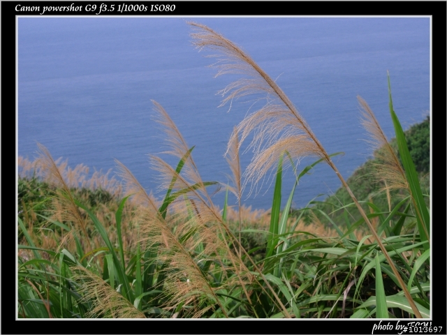 [G9]_台北的夏天!