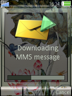 [240x320] 澐荷(一代)