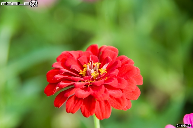 [開箱 ](10/14新增麗星郵輪沖繩行)Tamron A20 AF28-300/3.5-6.3  XR Di LD Asph. IF Macro VC for Nikon