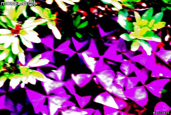 陪 伴 < 上/下 集 全 >
