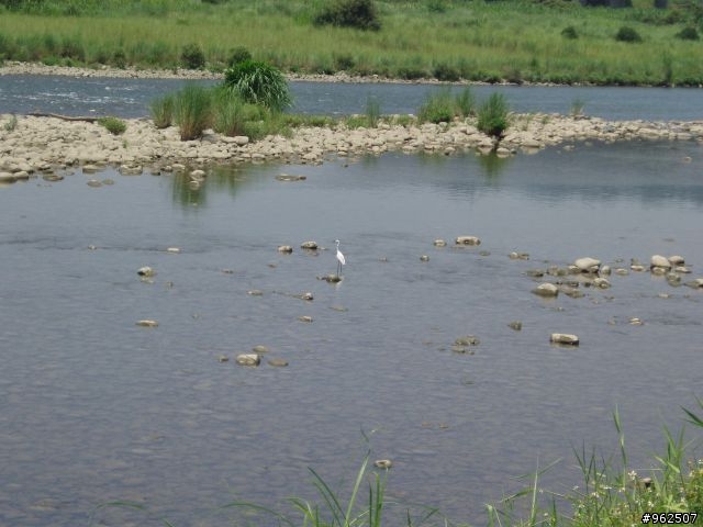 新店溪河濱車道 [試騎]
