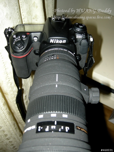 [第四篇開箱分享]~SIGMA : APO 100-300mm F4 EX IF DG HSM~長焦有其不同樂趣！