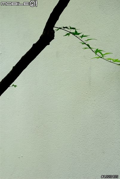 陪 伴 < 上/下 集 全 >