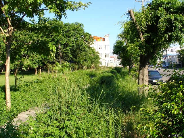幸福城市之雜草公園