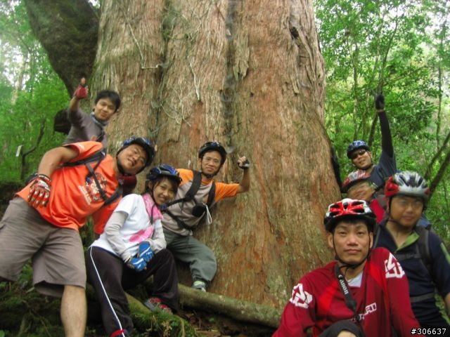 [遊記]戀上四季林道 (嘉平林道)