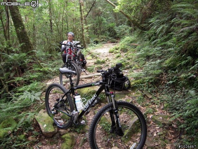 比雙北更硬的MTB終極路線-上達觀下福山