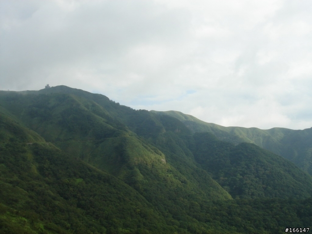 殘念的P字山道