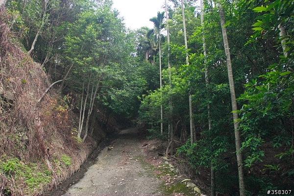 西火炎山