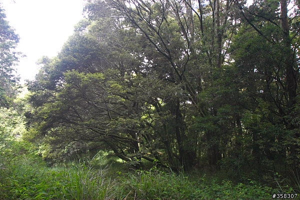 守城大山