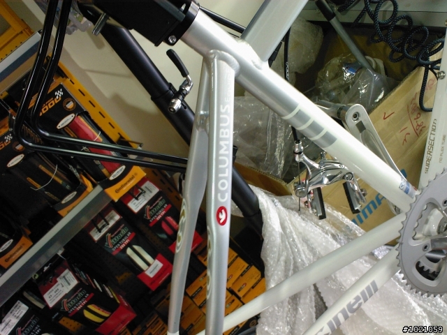 小弟報到~CINELLI little wing  入手!