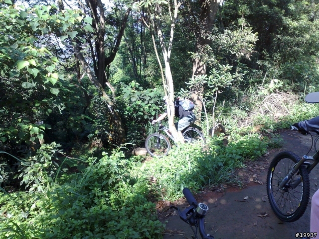 南投7100路段offroad照片分享(圖多)
