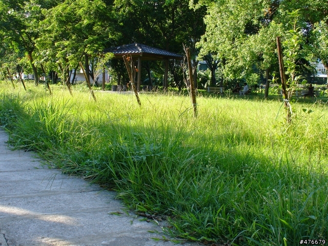 幸福城市之雜草公園