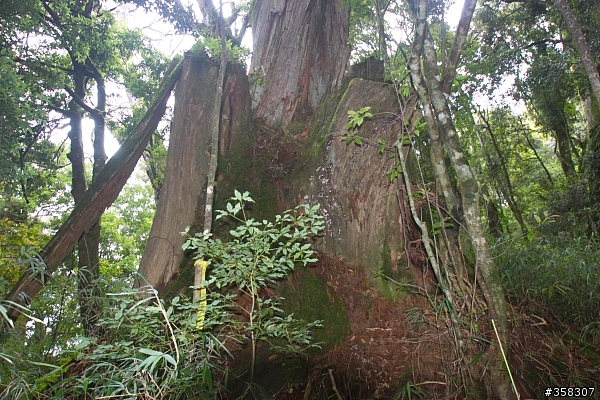 守城大山