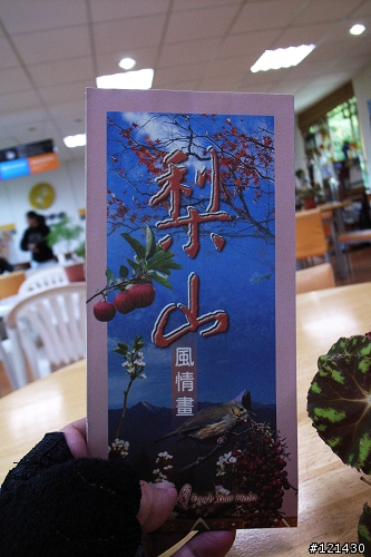 [小折遊記] 梨山行- 台七甲的美麗與哀愁