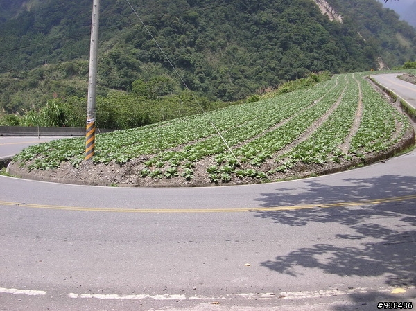 機車環"半島"兩天一夜中橫之旅