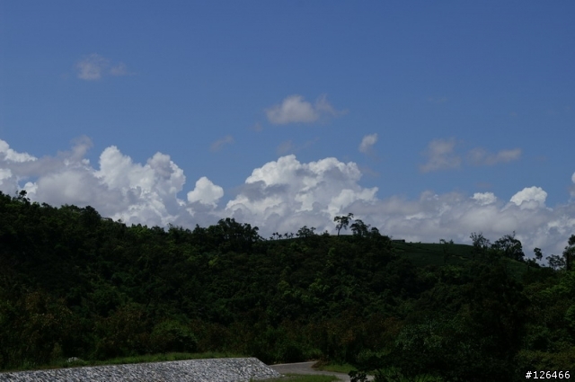羅東的天空