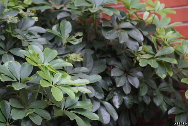 [S5Pro] 又一個銳利度的問題