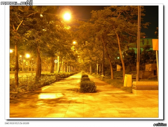【分享】南科夜騎的美景