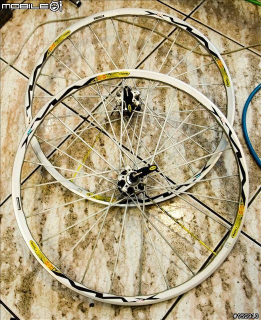 2008年KLEIN Attitudce限量版