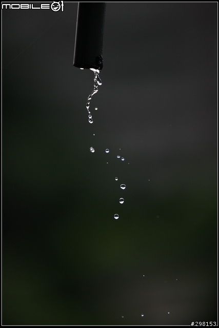 頂尖對決:Canon EF 200mm f/2L IS USM vs Canon EF 200mm f/1.8L USM 鏡皇正面PK戰