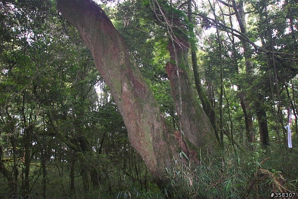守城大山