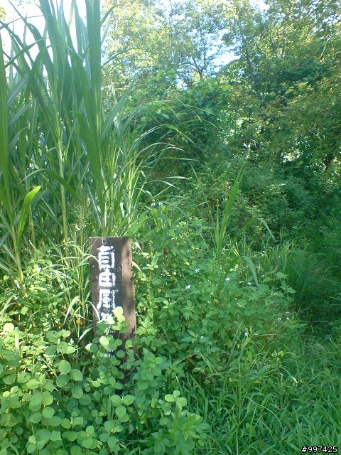 [遊記] 新化大草原 關廟自由風賽道之旅