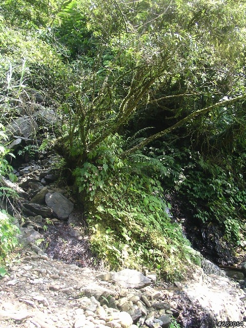 [這就是登山車的路] 烏來西坑林道 與  桶后林道一日遊