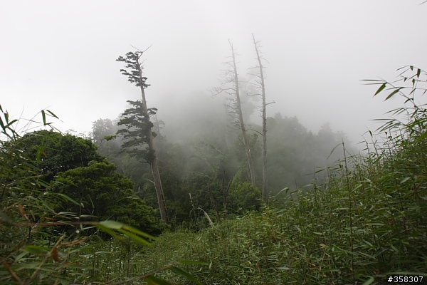 守城大山