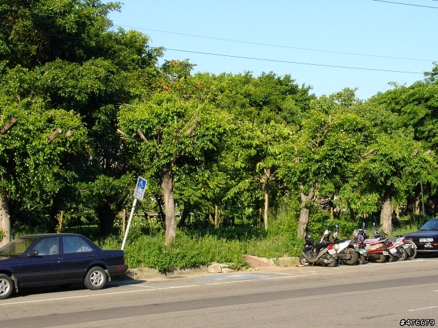 幸福城市之雜草公園