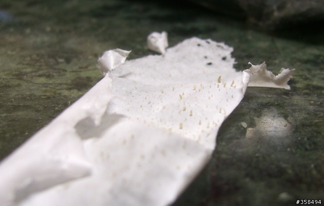又補照片囉..<<分享美妝活動照>>拔起粉刺，真的像拔蘿蔔呦!!
