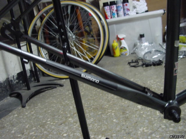 [分享]超過10年以上老鋼管GIANT R800 復活~!