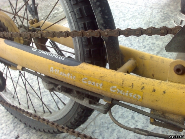 請問圖中"有靠背"的車(似捷安特Revive)，哪個廠牌有、哪裡有賣？