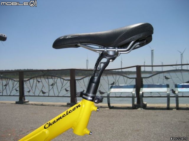 Airnimal Chameleon 24吋折疊車