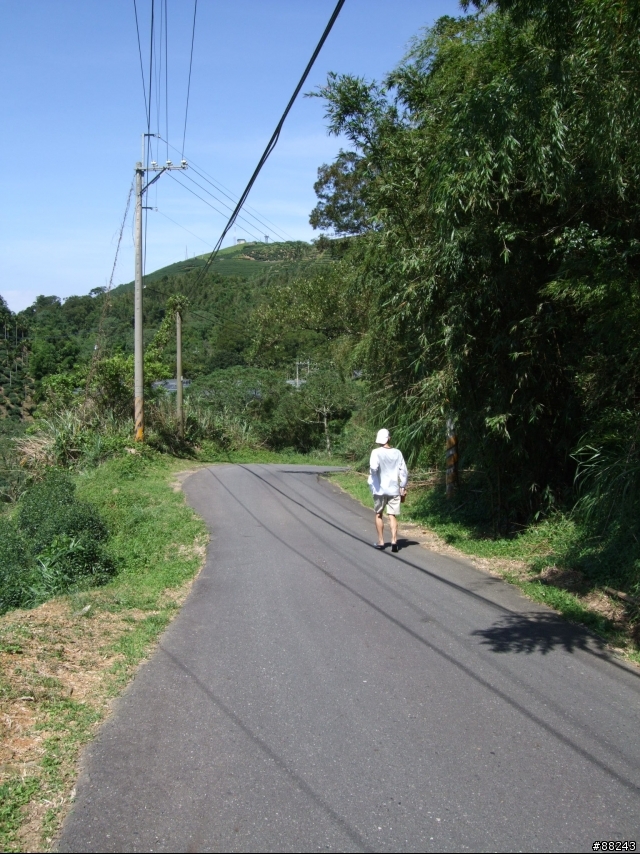 [小折遊記]征服36彎太平龍眼之旅