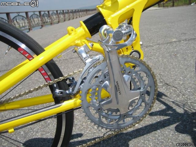 Airnimal Chameleon 24吋折疊車