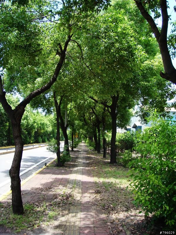 【環島遊記】DAY2 路竹→墾丁大街