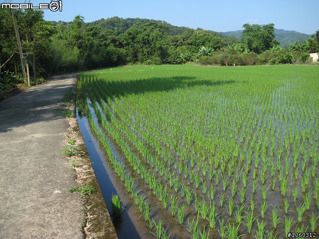 [遊記] 肉腳首戰--羅馬公路大滿貫