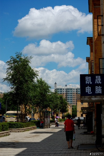 八月/哈尔滨/河马最新拍摄