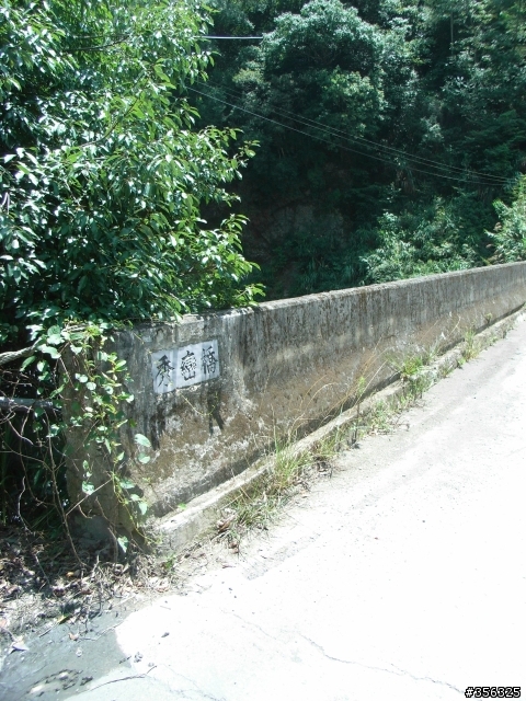 [遊記] 見證上帝的部落 司馬庫斯 單車2日遊