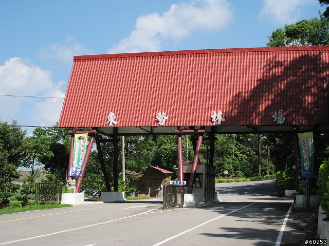 台中縣 東勢林場 & 四角林林場