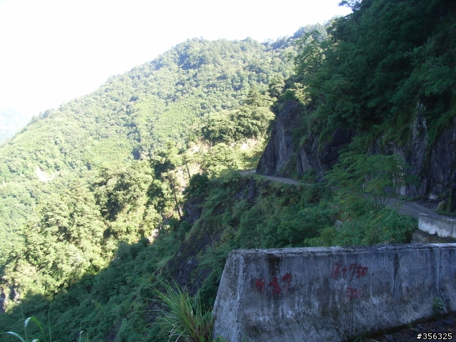 [遊記] 見證上帝的部落 司馬庫斯 單車2日遊