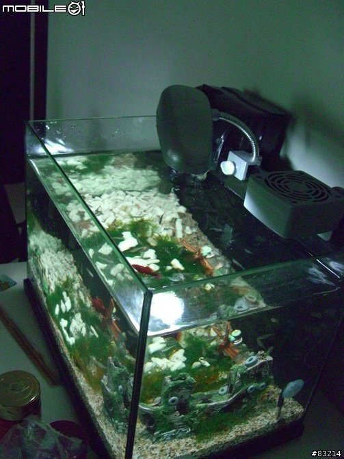 [水族館]我的魚缸，猜猜要多少錢？